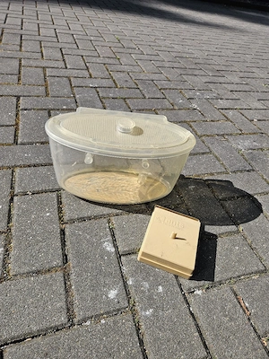 Formicarium Ameisenfarm Antscanada