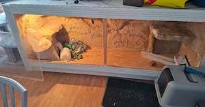 terrarium abzugeben