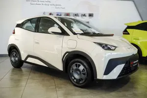 BYD Dolphin Dolphin Surf Boost