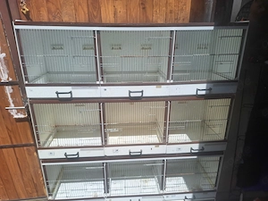 Zuchtboxen 