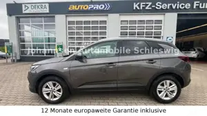 Opel Grandland X Edition,Navi,AHK,AppleCar,Klima