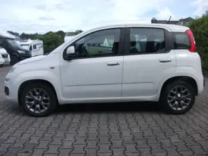 Fiat Panda Panda/Lounge