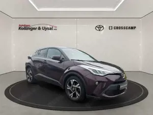 Toyota C-HR Hybrid Team D