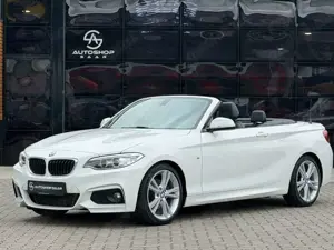 BMW 220 Cabrio 220 d M Sport AUT/Bi-Xenon/LEDER