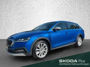 Skoda Octavia 2.0 DSG - Scout 4x4 Standh. ACC DCC AHK