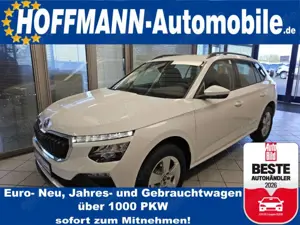 Skoda Kamiq Selection Climatr.,Kamera,Sitzhzg.,AHKankl