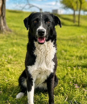 Nika - hübsche lady sucht dich!