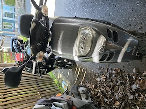 Piaggio Roller 50ccm Typhoon Bild 2