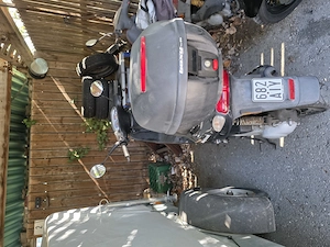 Piaggio Roller 50ccm Typhoon Bild 3