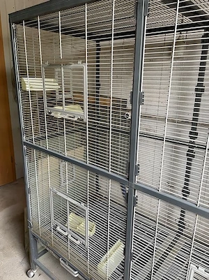 Zimmer-Voliere, groß