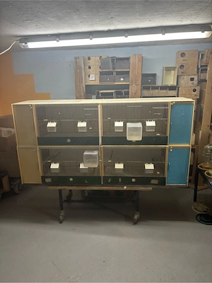 Zuchtboxen Doppelboxen 