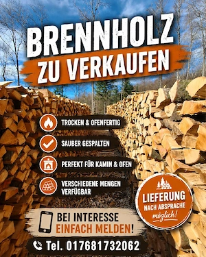 Brennholz trocken zu verkaufen für Kaminfeuer 