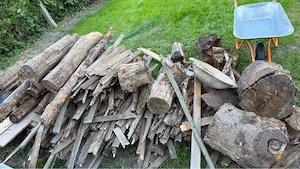 Feuerholz umsonst