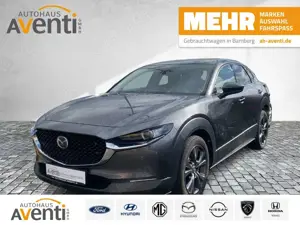 Mazda CX-30 Selection *LED*Kamera*Navi*ACC*Tot Winkel*