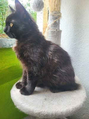 Batman sucht sein Traum-Zuhause 