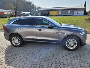 Jaguar F-Pace F-Pace 20d AWD Aut. Prestige Panorama Leder HUD