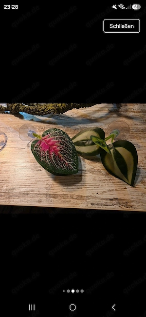Terrarium deko Zubehör 2 ranken Blätter