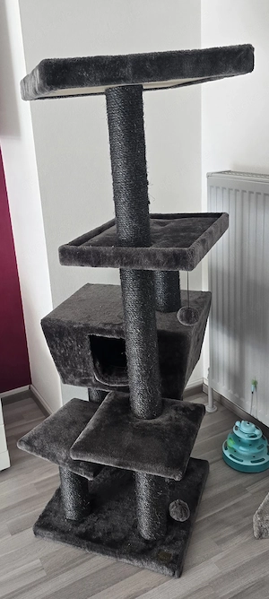 Kratzbaum macht mir ein faires Angebot 