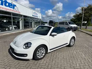 Volkswagen Beetle Cabriolet Basis /Navi/ TÜV neu