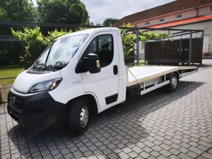 Fiat Ducato Ducato Maxi Autotransporter Alu Aufbau Klima Sthz HU NEU