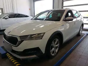 Skoda Octavia Scout 4x4 - AHK, Standheizung, Pano