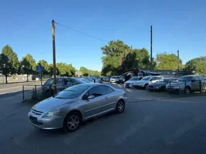 Peugeot 307 307 CC 110 Filou