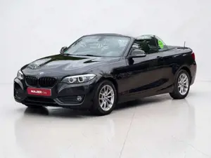 BMW 218 i Cabrio Advantage*LED*PDC*TEMPO*KLIMA*NAVI