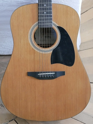 Washburn Gitarre mit Metallsaiten