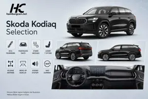 Skoda Kodiaq Selection 2.0TDI 4x4 AHK Standhz AssistenzP. Pa...