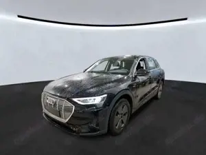 Audi e-tron 50 quattro SHZ Kamera ACC Navi Leder