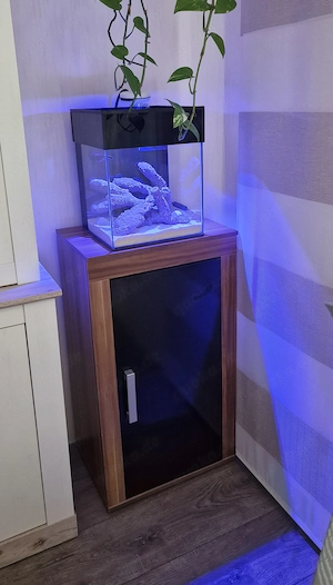 Meerwasser Aquarium Nano LxBxH 30x30x30 mit Schrank wie neu 