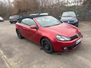 Volkswagen Golf Cabriolet Life Xenon PDC SHZ Navigation 8 fach Bereifung