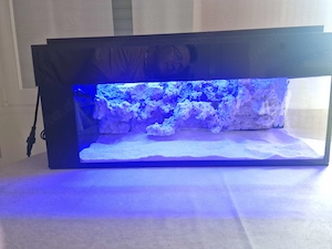 Meerwasser Nano Riff 60x20x20 