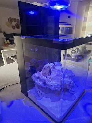Denerle Nano Meerwasser Aquarium 30x30x30 