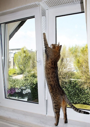 Kippfensterschutz für Katzen von austmetall, OHNE BOHREN OHNE KLEBEN - System 4