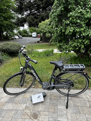 ZEMO Pedelec E-Bike ZE-8R 8-Gang-Nabenschaltung mit Rücktrittbremse und wartungsfreiem Riemenantrieb