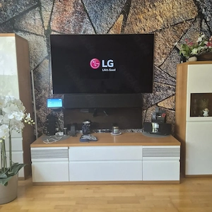 LG Oled Evo Smart TV 65 Zoll