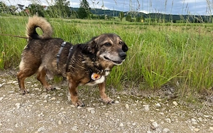Kleiner Fynn sucht Zuhause
