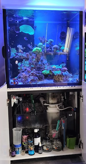 Meerwasser Aquarium Riffaquarium 70 x 70 x 70 cm Weißglas 15 mm   ca. 350 L.