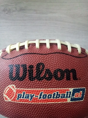 Wilson Eat the Ball Football 