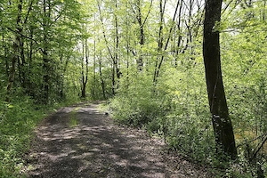 Outdoor Sex Bad Wiessee 