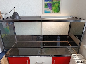 Gebrauchtes Reptizoo Glasterrarium