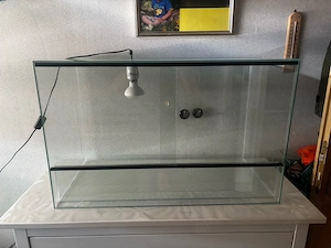 Glassterrarium