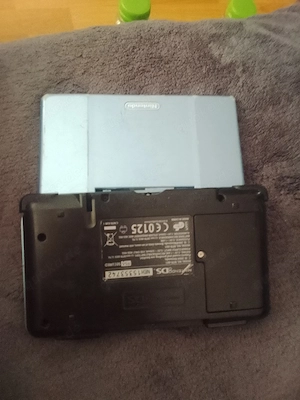 Nintendo DS 