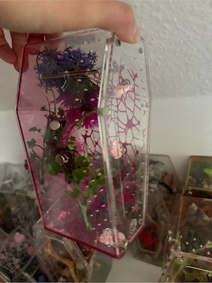 terrarium für springspinne 
