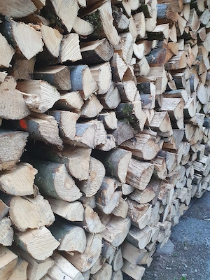 Brennholz Buche trocken  Bild 2