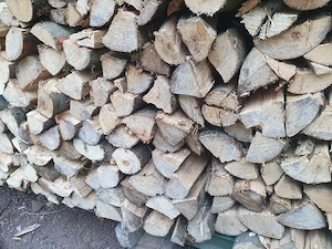 Brennholz Buche trocken  Bild 3
