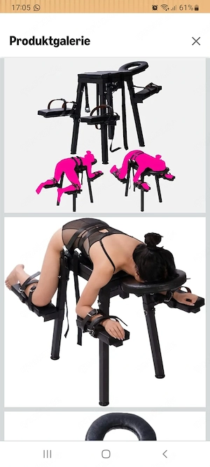 Horse Chair