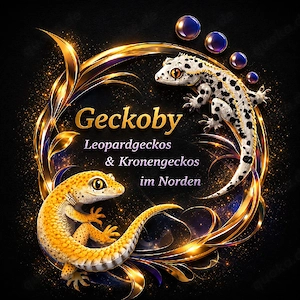 Saison-Start! Ersten Babys sind da Leopardgeckos und Kronengeckos