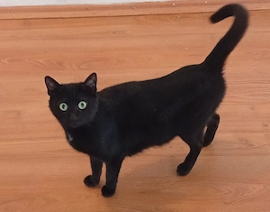 nala 2 Jahre alt